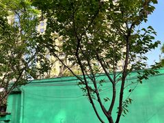 -石井坡(地铁站)