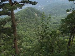 -内乡宝天曼生态旅游区