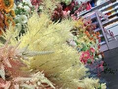 -KKV(深圳宏发大仟里店)