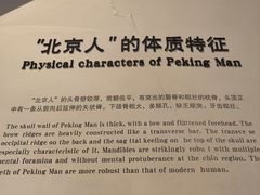 -北京周口店北京人遗址博物馆