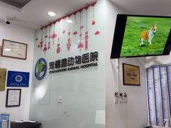 -宠福鑫动物医院(望京分院)