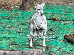 -广州长隆野生动物世界