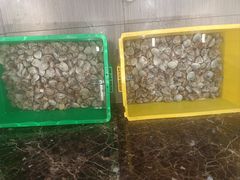 -渡海小渔村.老辈日照菜