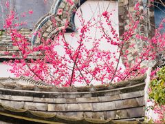 -乌山风景区