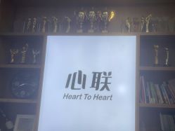 -心联形象设计·流星染