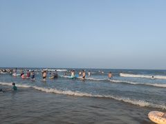 -日照海滨国家森林公园