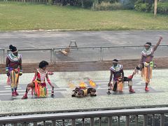 -深圳野生动物园