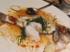 -德尚煌·顺德菜(誉山悠方天地店)