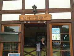 -金山农民画村-枫泾波兰倒置屋