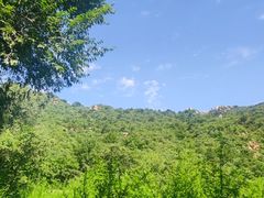-大岭沟猕猴桃谷风景区