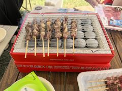 -春花秋色城市公园