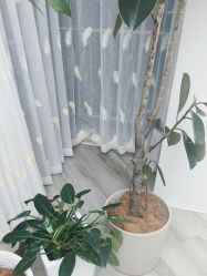 -HEYAN荷妍专业脱毛连锁机构