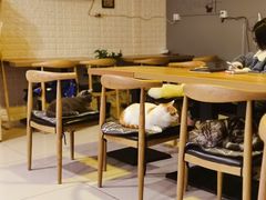 -平行世界·猫咖(首经贸店)