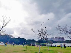 -东莞植物园