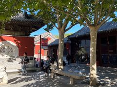 -嵩祝寺及智珠寺