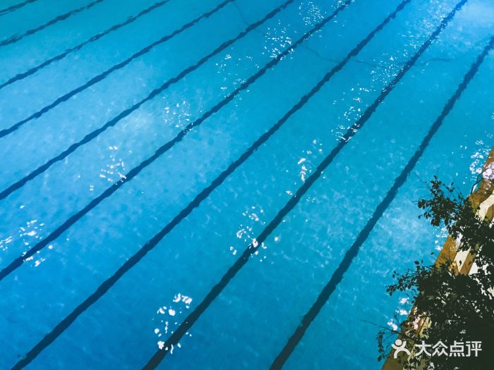 阳光海帝游泳馆图片 - 第503张