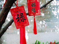-小洲村