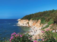 -养马岛旅游度假区