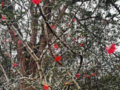 -白鹭湾湿地公园