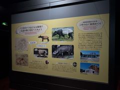 -东京国立博物馆