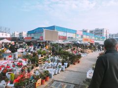 -中环花鸟鱼虫市场