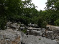 -大兴滨河森林公园