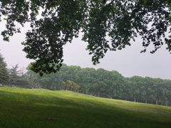 -河南省黄河迎宾馆