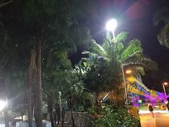 -虎英水上乐园