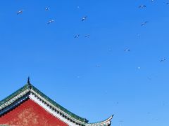 -MAP CHA普洱茶馆(翠湖店)