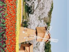-苏州上方山国家森林公园