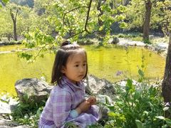 -沕沕水生态风景区