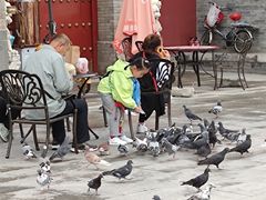 -大召寺明清一条街