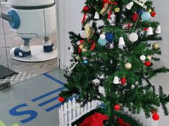 -斯坦星球AI编程·机器人科创·科学实验·信奥·思维·STEM·乐高·竞赛考级(长宁虹桥大融城荟聚中心)