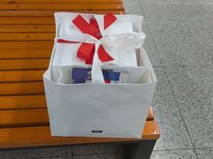 -BLACKSWAN黑天鹅(环球店)