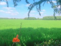 -嘉北郊野公园