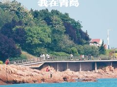 -八大关景区