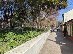 -葑门横街