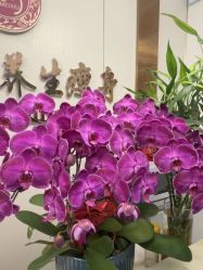 -金美秀瘦身养生