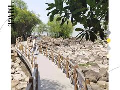 -上海吴淞炮台湾国家湿地公园