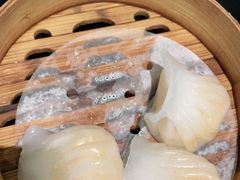 -高第街56号融合餐厅(振华五星百货店)
