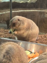 -Zoolung Zoolung动物主题公园(海信广场店)