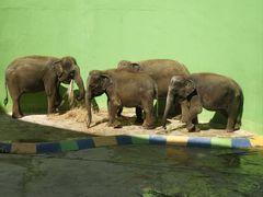 -大连森林动物园