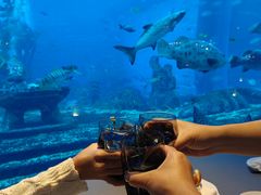 -亚特兰蒂斯•OSSIANO奥西亚诺海底餐厅