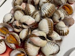 -华盛丰温州大排档(东三环南路店)