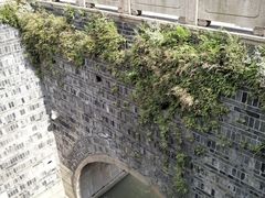 -嘉定紫藤园