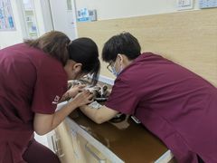 -美联众合动物医院·24h京西诊疗中心