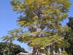 -十九路军淞沪抗日阵亡将士陵园