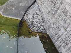 -黄金海岸水上乐园