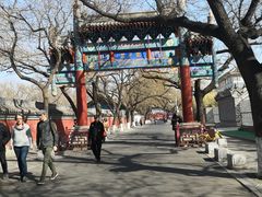 -北京国子监胡同