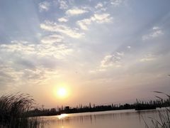 -呈贡滇池生态湿地公园